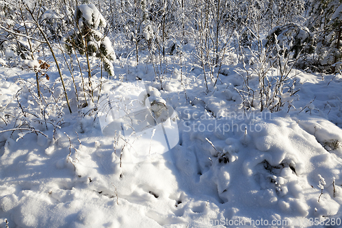 Image of Snow drifts in winter