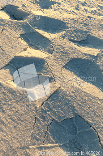 Image of Cracks on the crust of snow