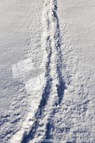 Image of tracks in the snow