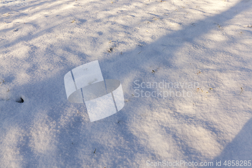 Image of Shadows in the snow