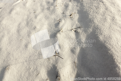 Image of snow covered field