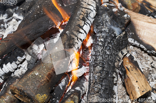 Image of burning firewood in fire