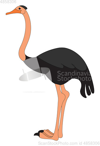 Image of A black-colored cartoon ostrich vector or color illustration