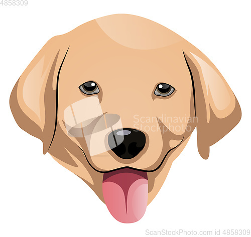 Image of Labrador illustration vector on white background