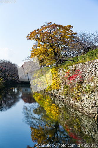 Image of Himeji castle at autumn