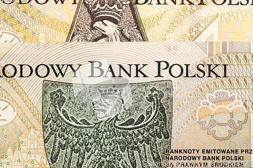 Image of Polish money close-up