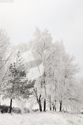 Image of winter season