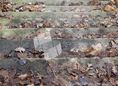 Image of Old concrete steps