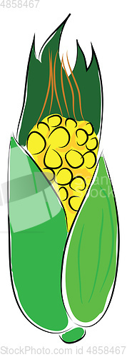 Image of Simple vector nillustration of yellow corn with green keaf white