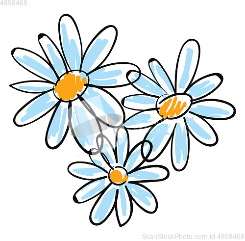 Image of White chamomile flowers vector illustration on white background.