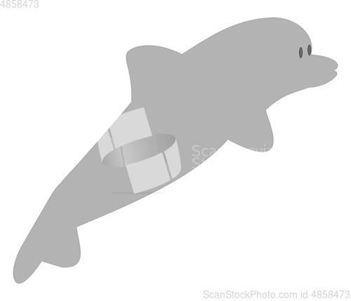 Image of dolphin vector color illustration.