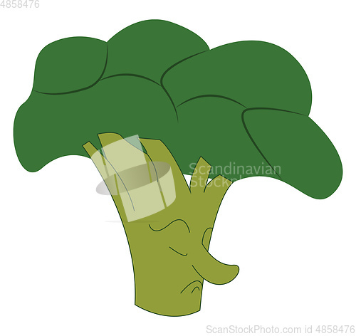 Image of A broccoli vector color illustration.