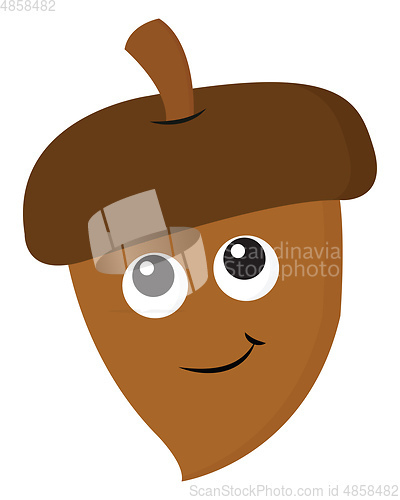 Image of Small cute nut vector or color illustration