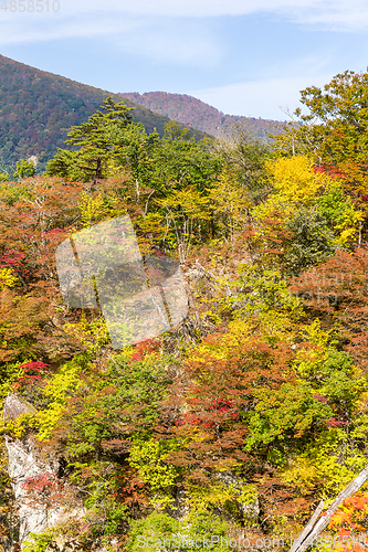 Image of Naruko canyon with autumn foliage in Japan