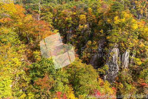 Image of Naruko Gorge in autumn