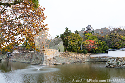 Image of Marugame Castle