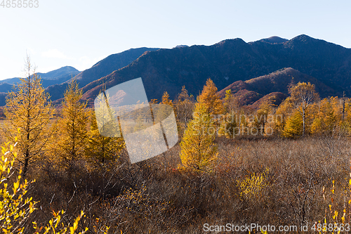 Image of Senjogahara in Nikko of Japan, Beautiful landscape in Autumn