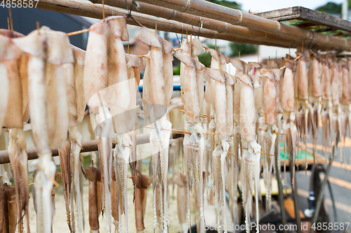 Image of Squid drying on the hanger