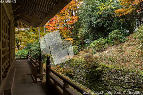 Image of Japanese temple in autumn