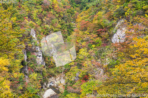 Image of Naruko Gorge in autumn