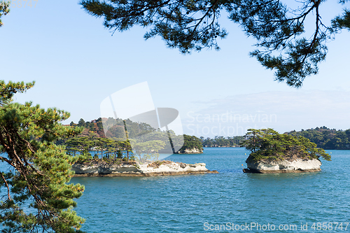 Image of Matsushima bay in Japan