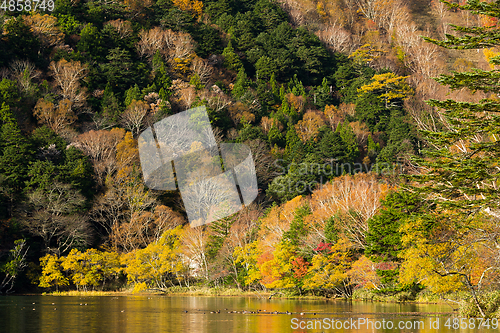 Image of Lake in autumn