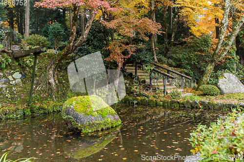 Image of Beautiful Japanese garden