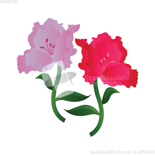 Image of Vector illustration of lila and pink azalea  flowers on white ba