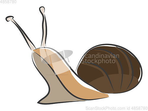 Image of Simple bown snail vector illustration on white background.