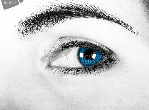 Image of Blue eyes