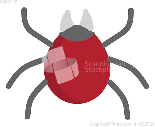 Image of Big red bug illustration vector on white background 