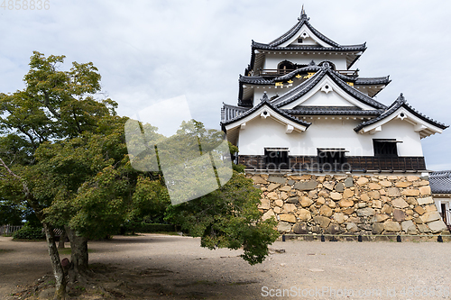 Image of Japanese castle in the city of Hikone