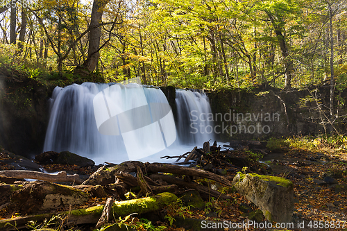 Image of Choshi Ootaki waterfall in the Oirase stream