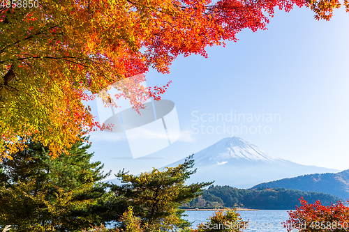 Image of Lake Kawaguchi and Mount Fuji in Autumn