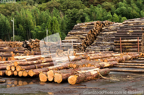 Image of Wood preparation