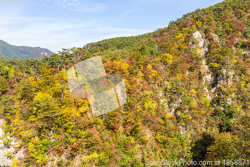 Image of Naruko Gorge in autumn