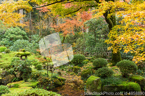 Image of Japanese park