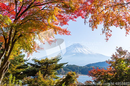 Image of Mount Fuji in Autumn season