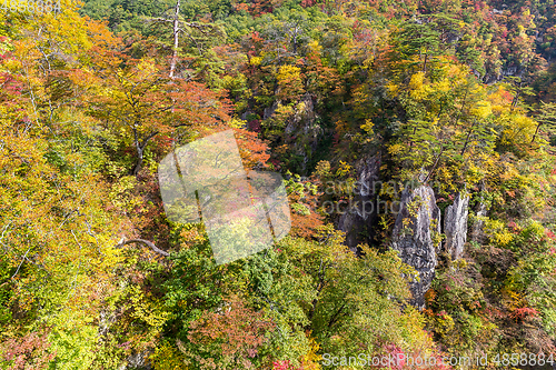 Image of Naruko canyon of japan