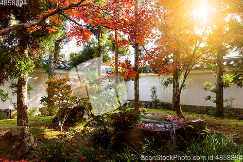 Image of Kokoen Garden with sun beam