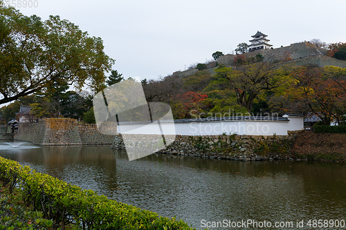 Image of Japanese Marugame Castle