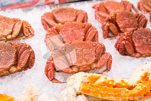 Image of Hairy crab