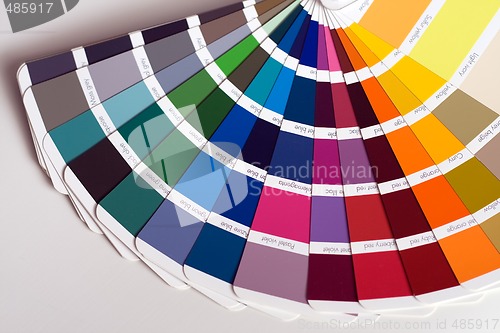 Image of color swatches