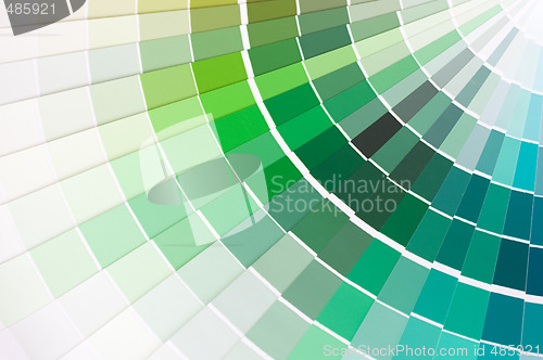 Image of color swatches