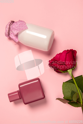 Image of Cosmetics, fashion. Monochrome stylish composition in pink color. Top view, flat lay.