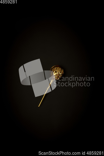 Image of Golden candy on a black background, stylish minimalistic composition with copyspace