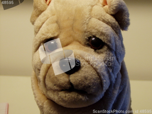 Image of sad,dog