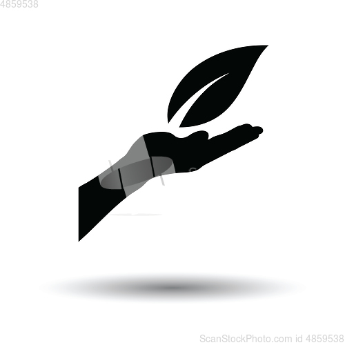 Image of Hand holding leaf icon