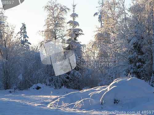 Image of Winter  in Sweden