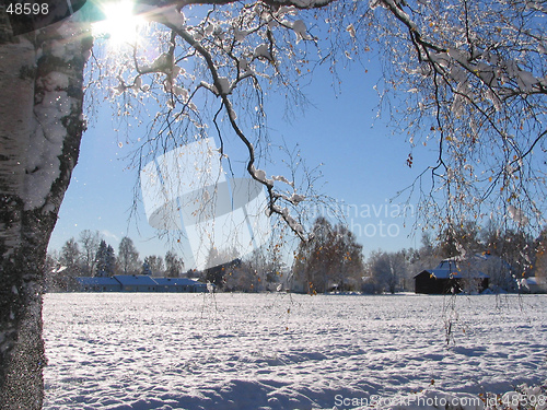 Image of Winter in Dalarna, Sweden